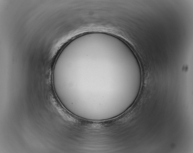 X0000115291507200911161622