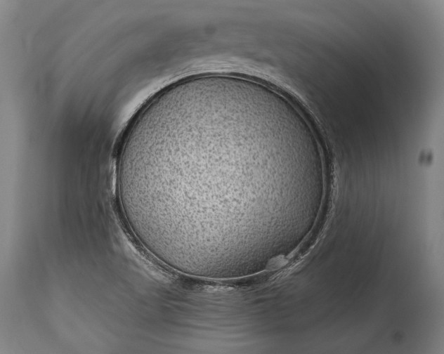 X0000115291509200911161622