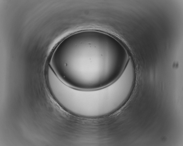 X0000115291510200911161622