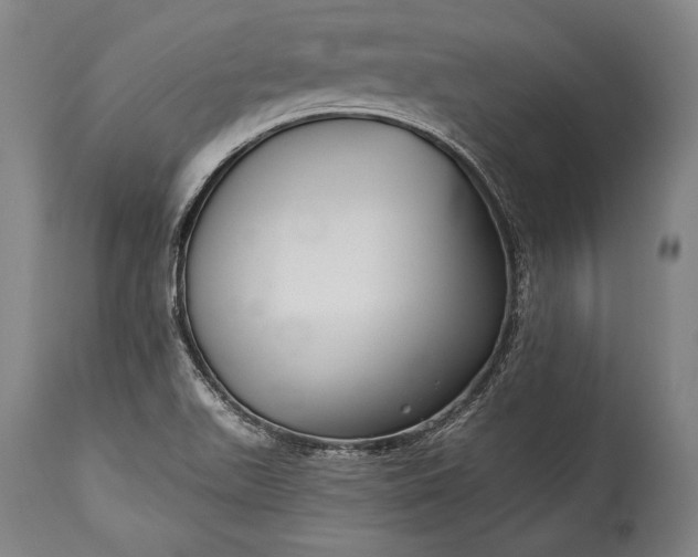 X0000115291511200911161622