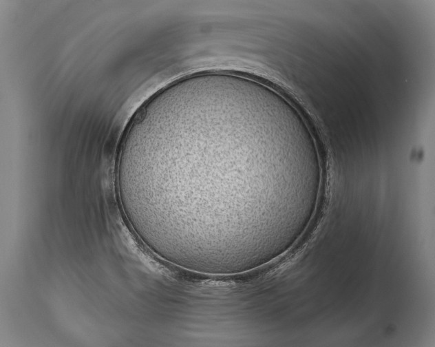 X0000115291513200911161622