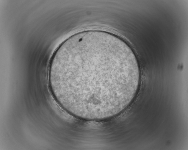X0000115291514200911161622
