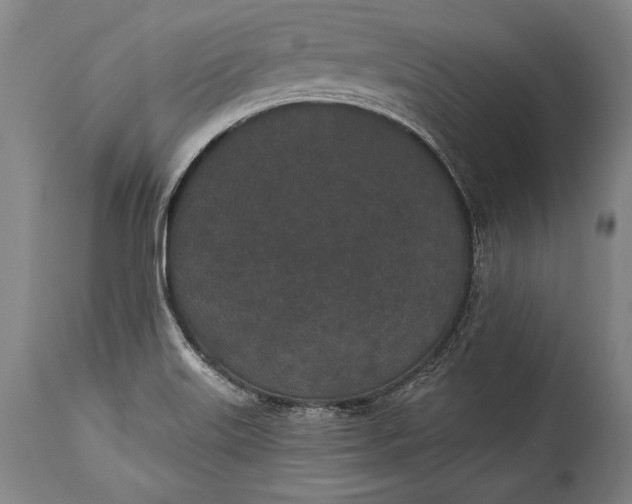 X0000115291515200911161622