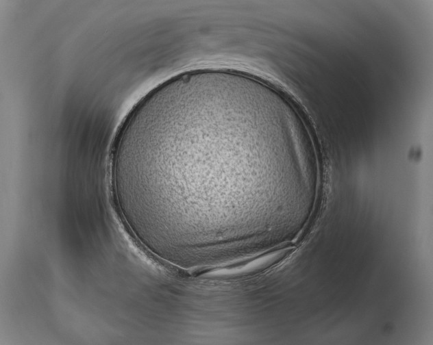 X0000115291517200911161622