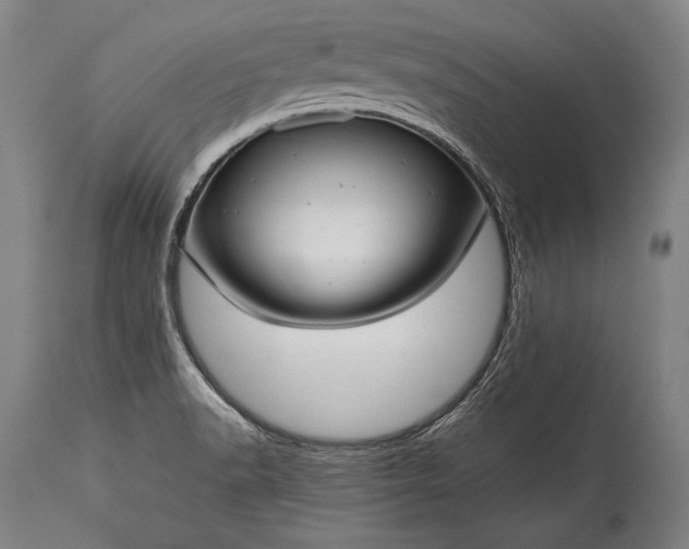X0000115291518200911161622