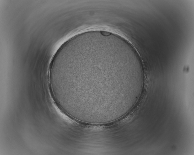 X0000115291519200911161622