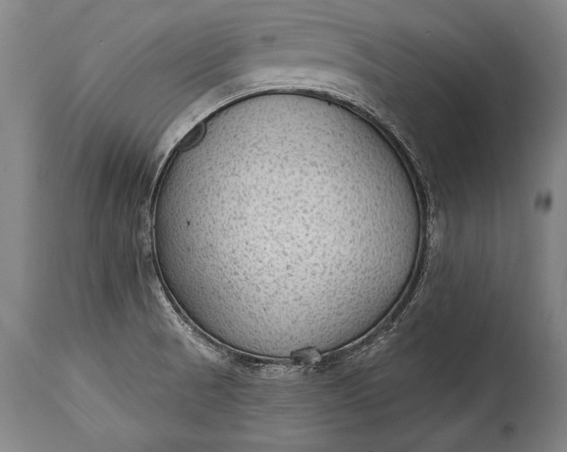X0000115291521200911161622
