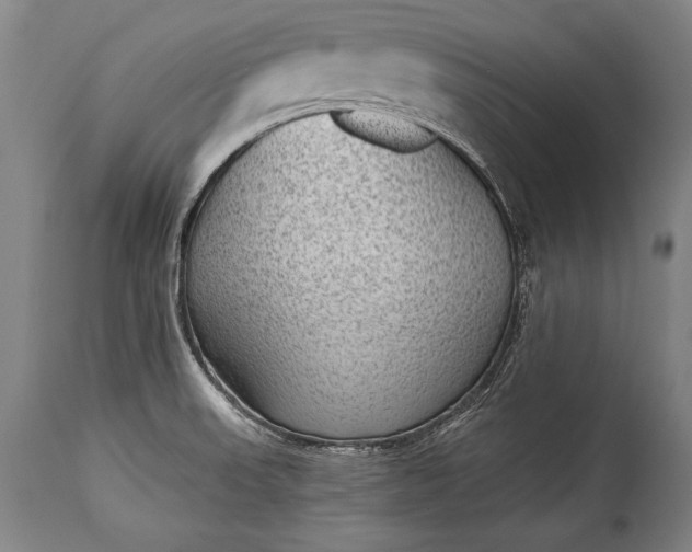 X0000115291523200911161622