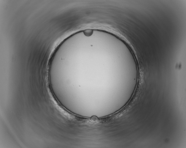 X0000115291525200911161622