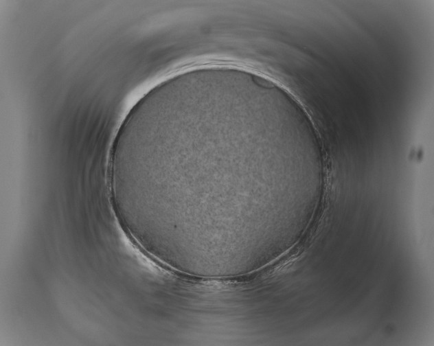 X0000115291527200911161622