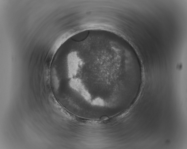 X0000115291529200911161622