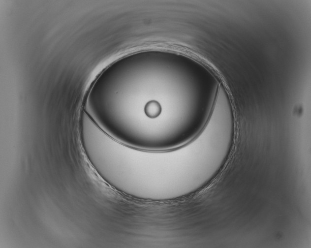 X0000115291530200911161622