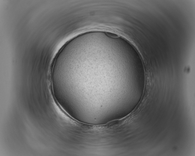 X0000115291531200911161622
