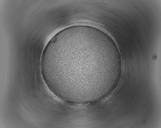 X0000115291533200911161622