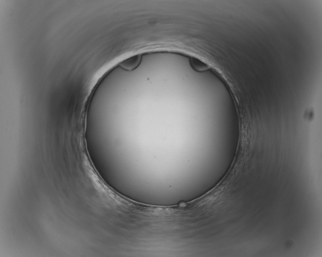 X0000115291534200911161622