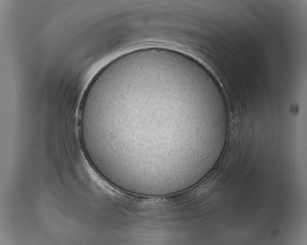 X0000115291535200911161622