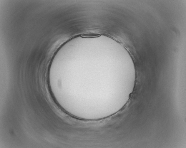 X0000115290001200911231258