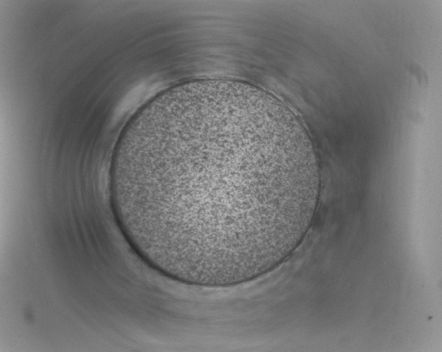 X0000115290002200911231258
