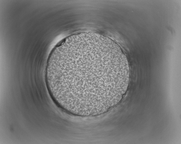 X0000115290003200911231258