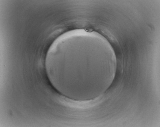 X0000115290035200911231258