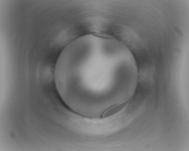 X0000115290043200911231257