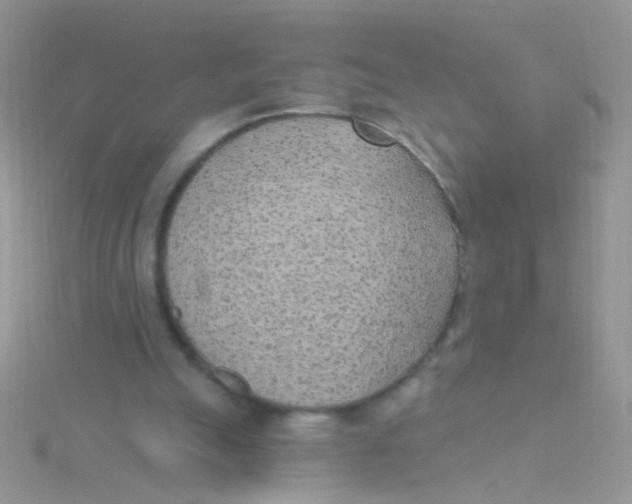 X0000115290055200911231257