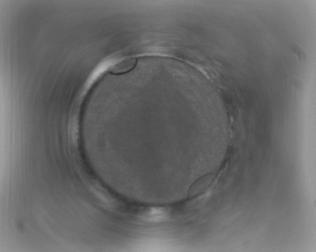 X0000115290056200911231257