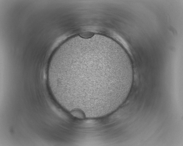 X0000115290059200911231257
