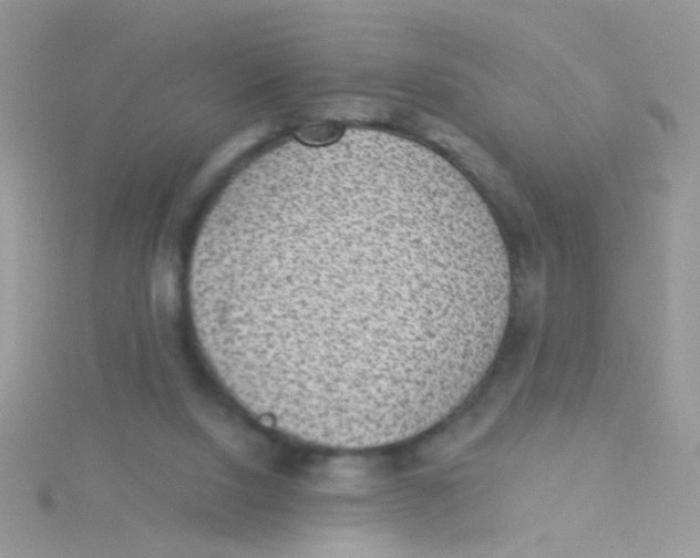 X0000115290064200911231257