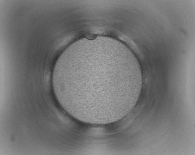 X0000115290066200911231257