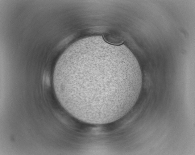 X0000115290068200911231257