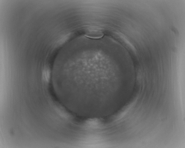 X0000115290076200911231257