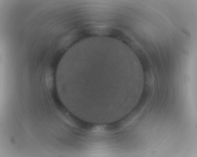 X0000115290080200911231257