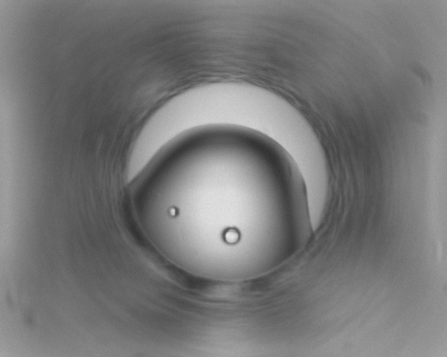 X0000115290084200911231257