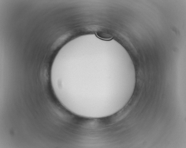 X0000115290116200911231257