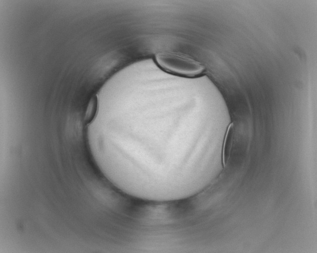 X0000115290120200911231256