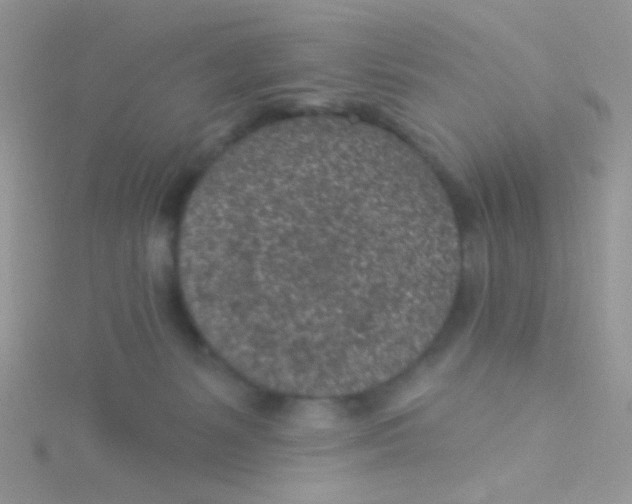 X0000115290127200911231256