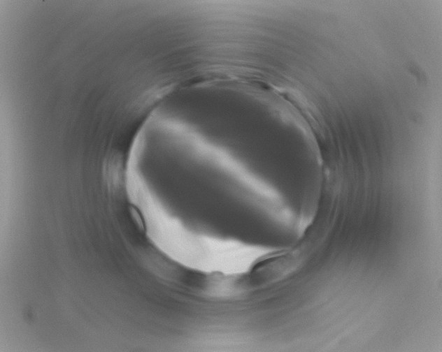 X0000115290143200911231256