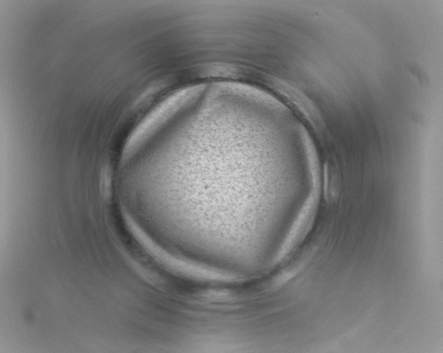 X0000115290157200911231256