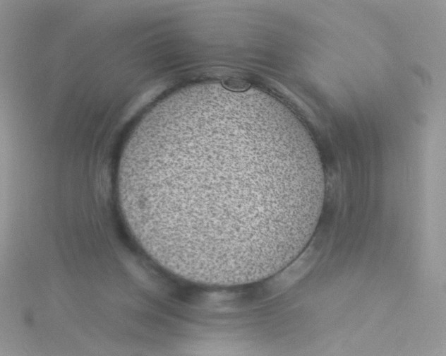 X0000115290158200911231256