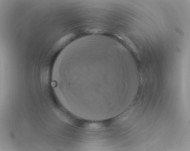 X0000115290163200911231256