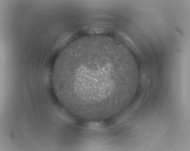 X0000115290169200911231256
