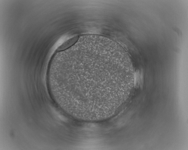 X0000115290195200911231255