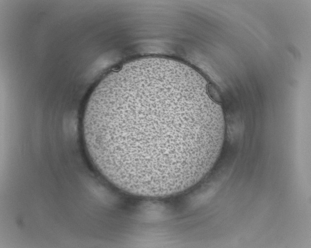 X0000115290207200911231255