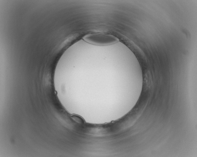 X0000115290212200911231255