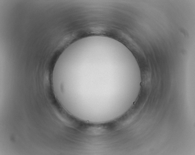 X0000115290213200911231255