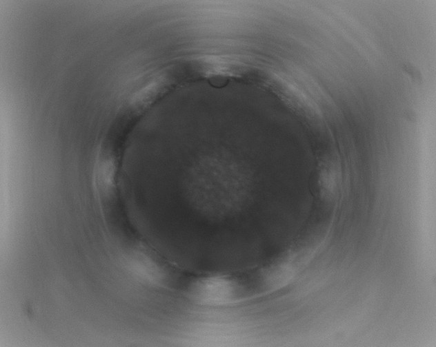 X0000115290219200911231255