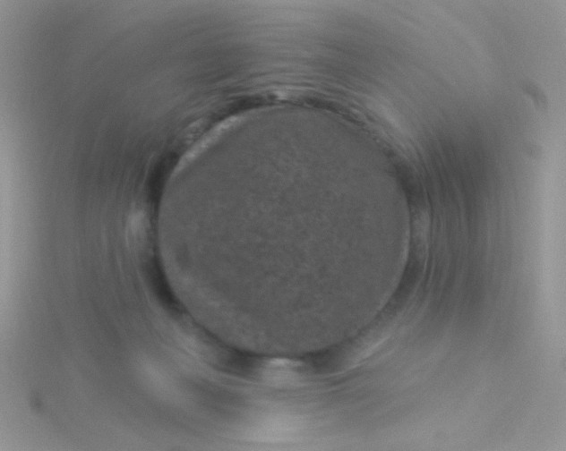 X0000115290222200911231255
