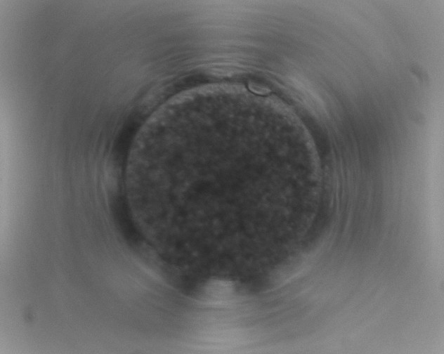 X0000115290227200911231255