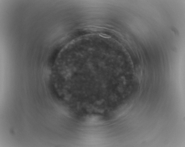 X0000115290235200911231255